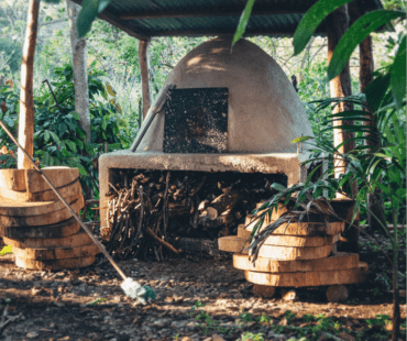 THE CRADLE OF CACAO