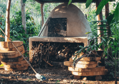 THE CRADLE OF CACAO